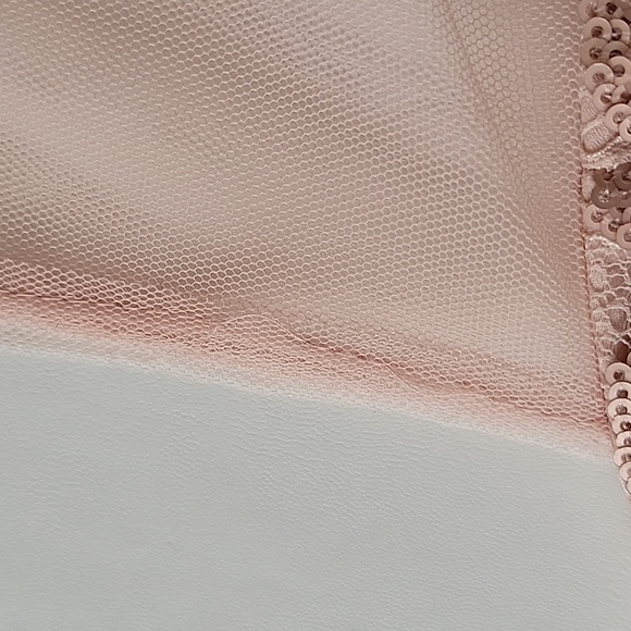 BCBGMaxAzria Women's Abigail Dusty Pink Lace Sequin Mini Dress- Size 2 - Picture 17 of 17